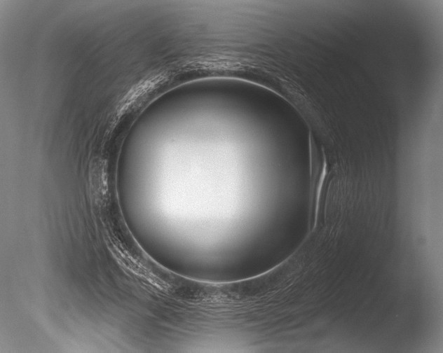 X0000086250731200703291406