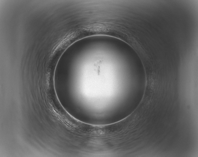X0000086250735200703291406