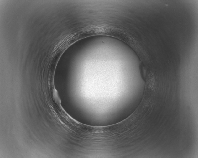 X0000086250740200703291406
