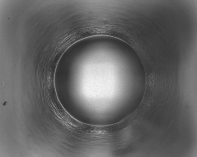 X0000086250741200703291406