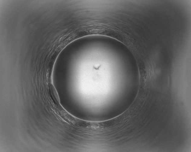 X0000086250745200703291406