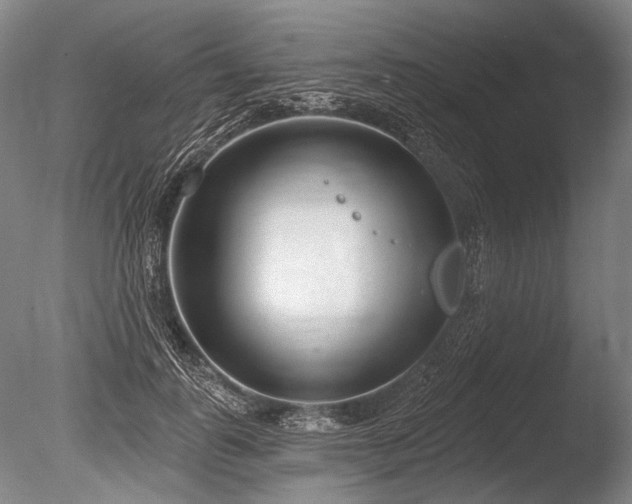 X0000086250747200703291406