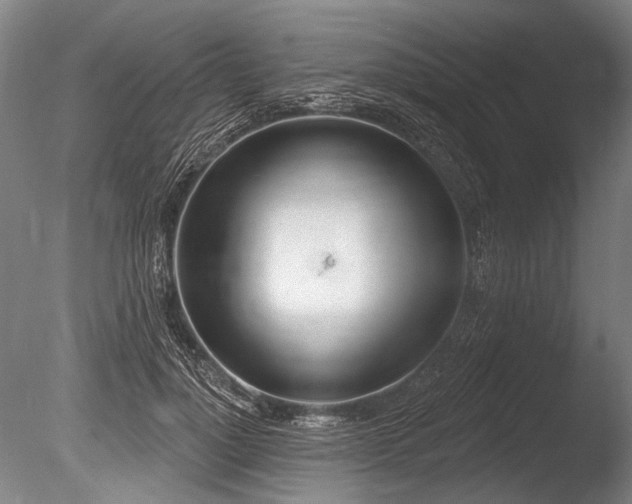 X0000086250748200703291406