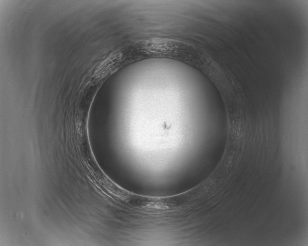 X0000086250749200703291406