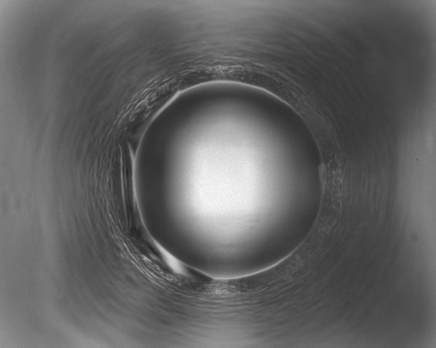 X0000086250750200703291406