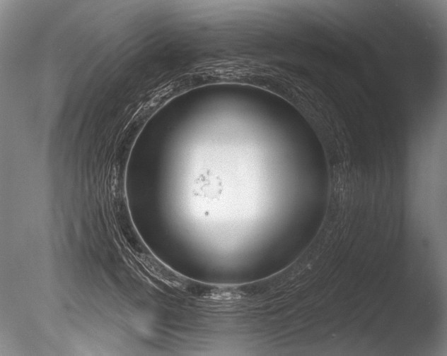 X0000086250752200703291406