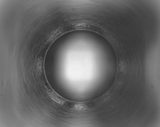 X0000086250753200703291406
