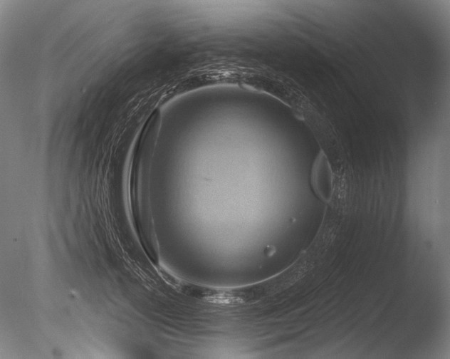 X0000086250754200703291406