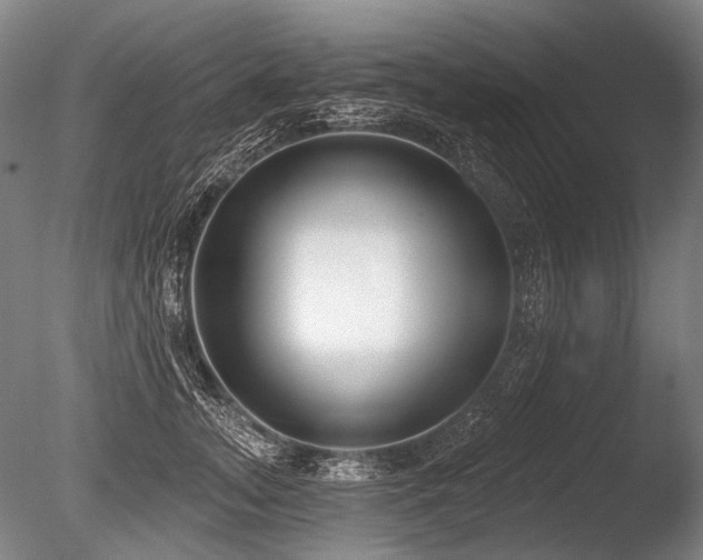 X0000086250755200703291406