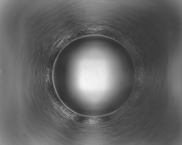 X0000086250758200703291406