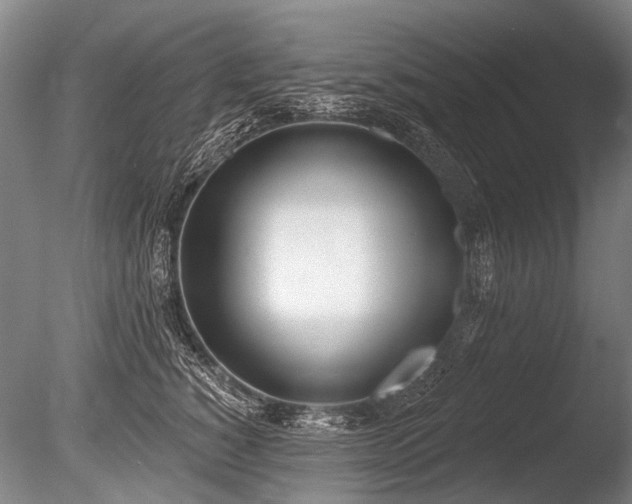 X0000086250760200703291406