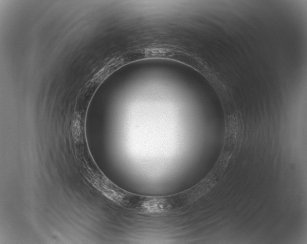 X0000086250761200703291406