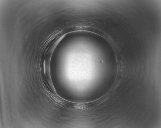 X0000086250762200703291406