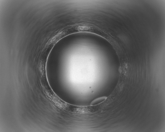 X0000086250763200703291406