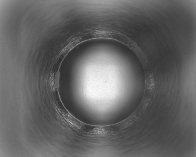 X0000086250764200703291406