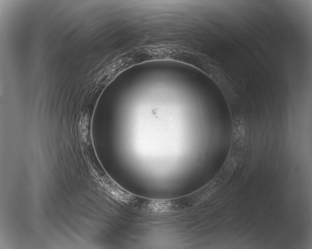 X0000086250767200703291406