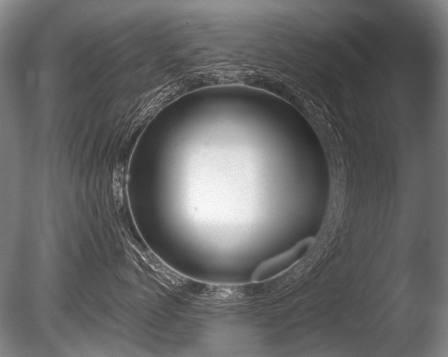 X0000086250768200703291406
