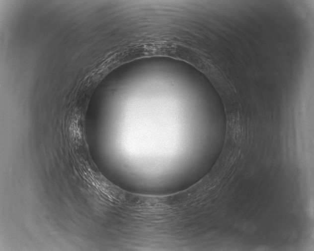 X0000086250770200703291406