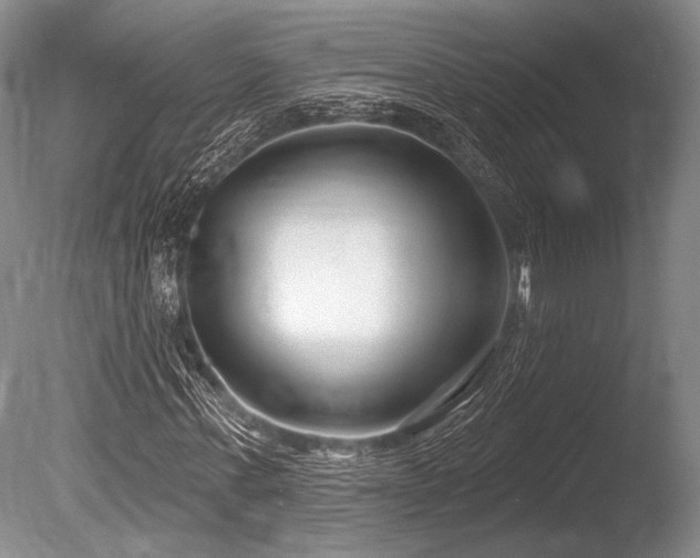 X0000086250771200703291406