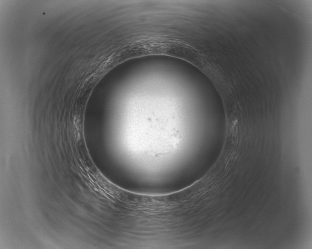 X0000086250772200703291406