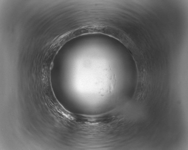 X0000086250773200703291406