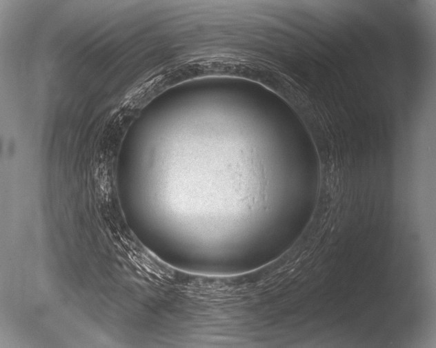 X0000086250774200703291406