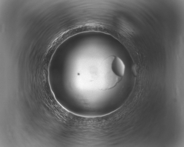 X0000086250776200703291406
