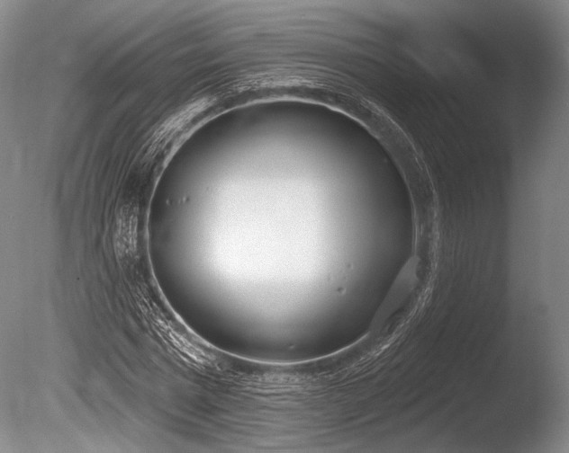 X0000086250777200703291405