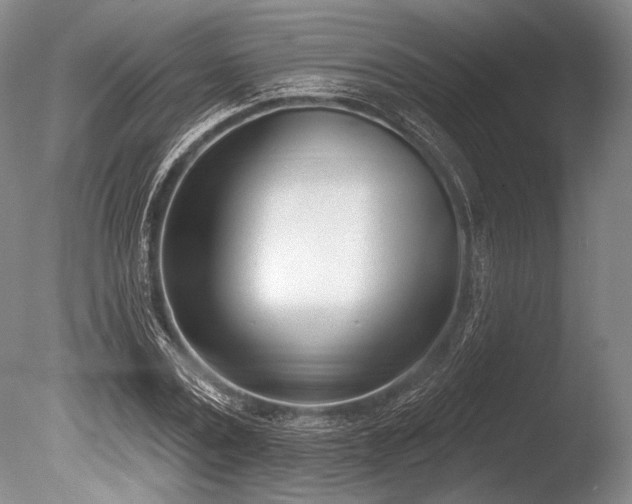 X0000086250779200703291405