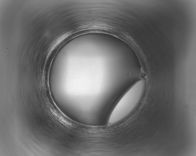 X0000086250780200703291405