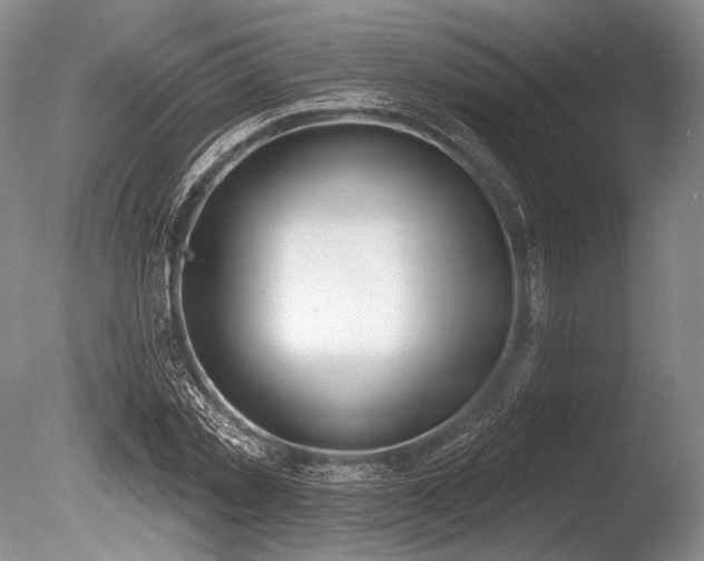 X0000086250781200703291405