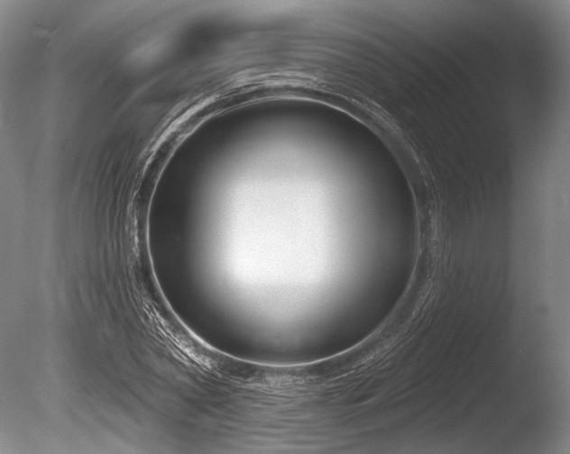 X0000086250782200703291405
