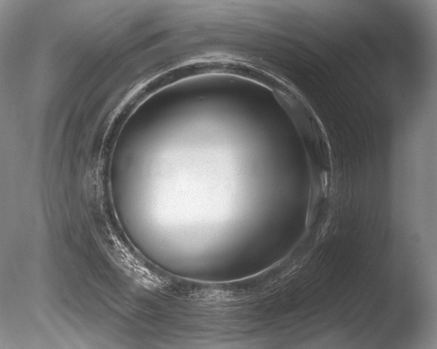 X0000086250783200703291405