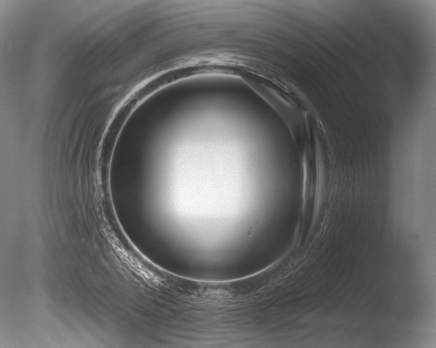 X0000086250784200703291405