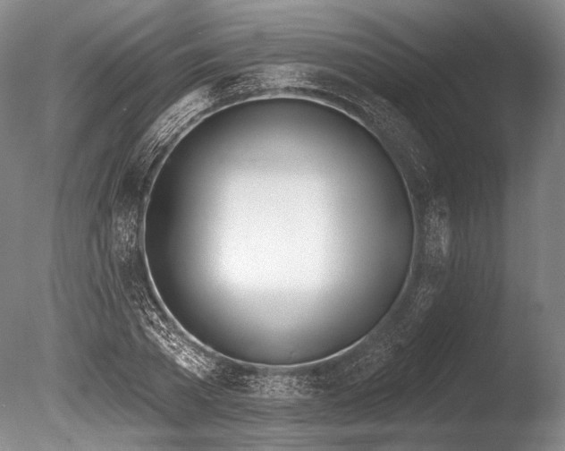 X0000086250785200703291405