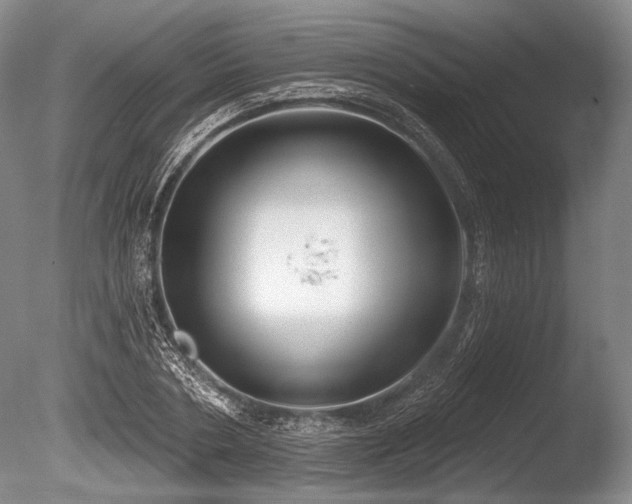 X0000086250786200703291405