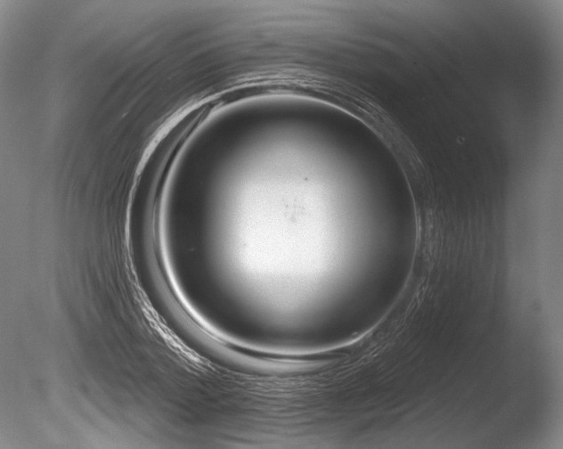 X0000086250788200703291405