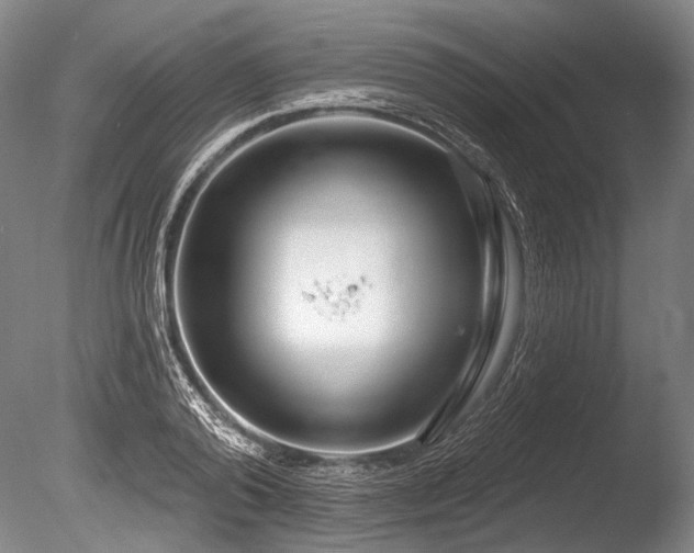 X0000086250792200703291405
