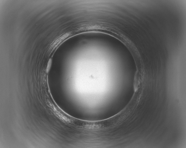 X0000086250793200703291405