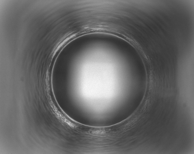 X0000086250798200703291405