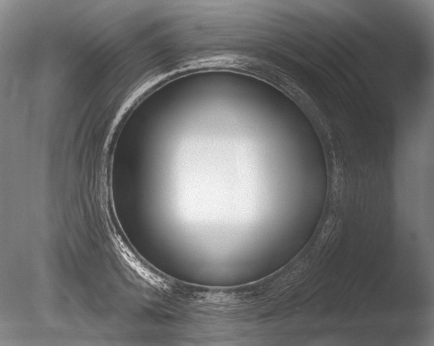 X0000086250800200703291405