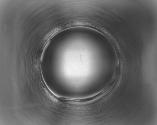 X0000086250801200703291405