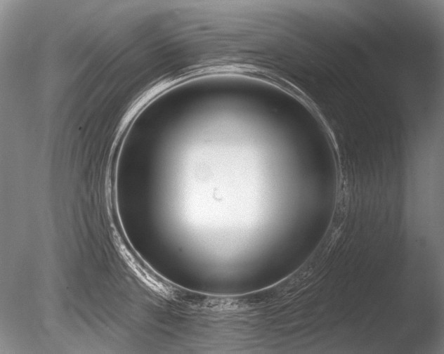 X0000086250811200703291405
