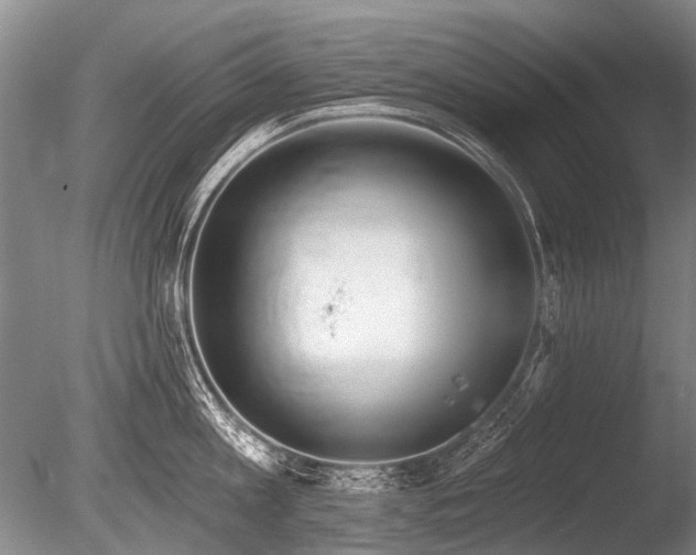 X0000086250813200703291405