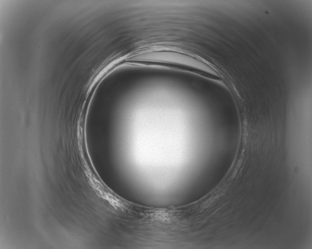 X0000086250814200703291405