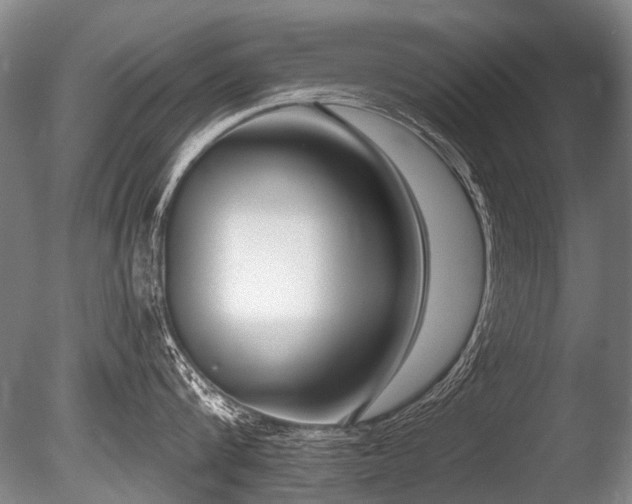 X0000086250816200703291405