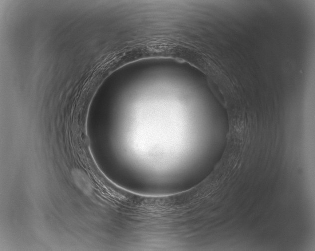 X0000086250817200703291404