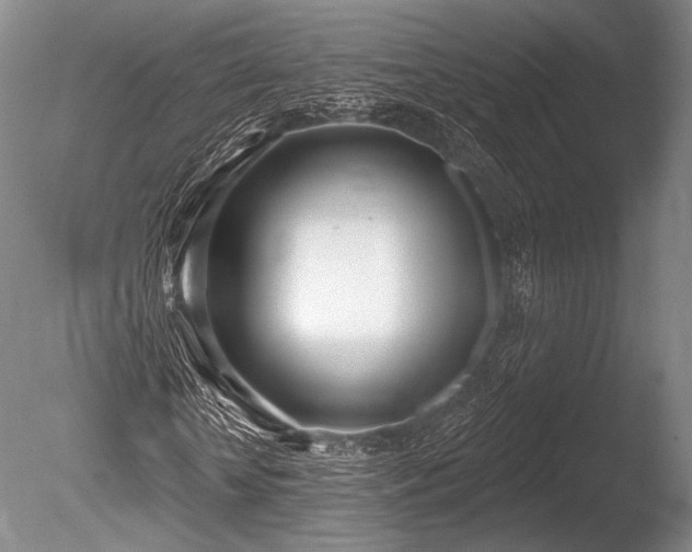 X0000086250818200703291404