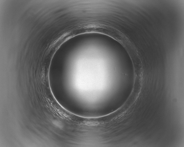 X0000086250825200703291404