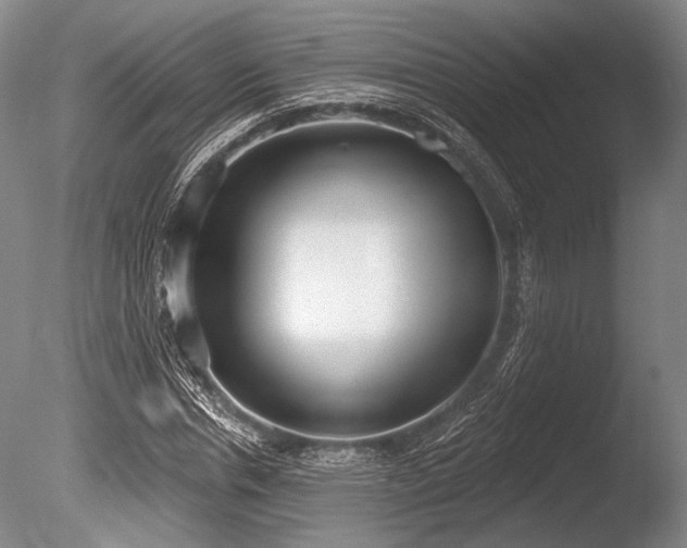 X0000086250826200703291404